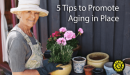 Aging-in-place-feature-banner