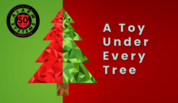 Toy Under Every Tree Feature