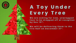 Toy Under Every Tree2022