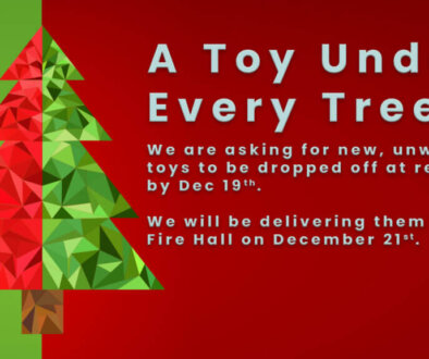 Toy Under Every Tree2022