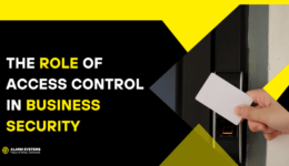 the role of access control in business